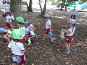 年少すみれ組はかぶと塚公園へ…どんぐりや木の葉を集めたよ！